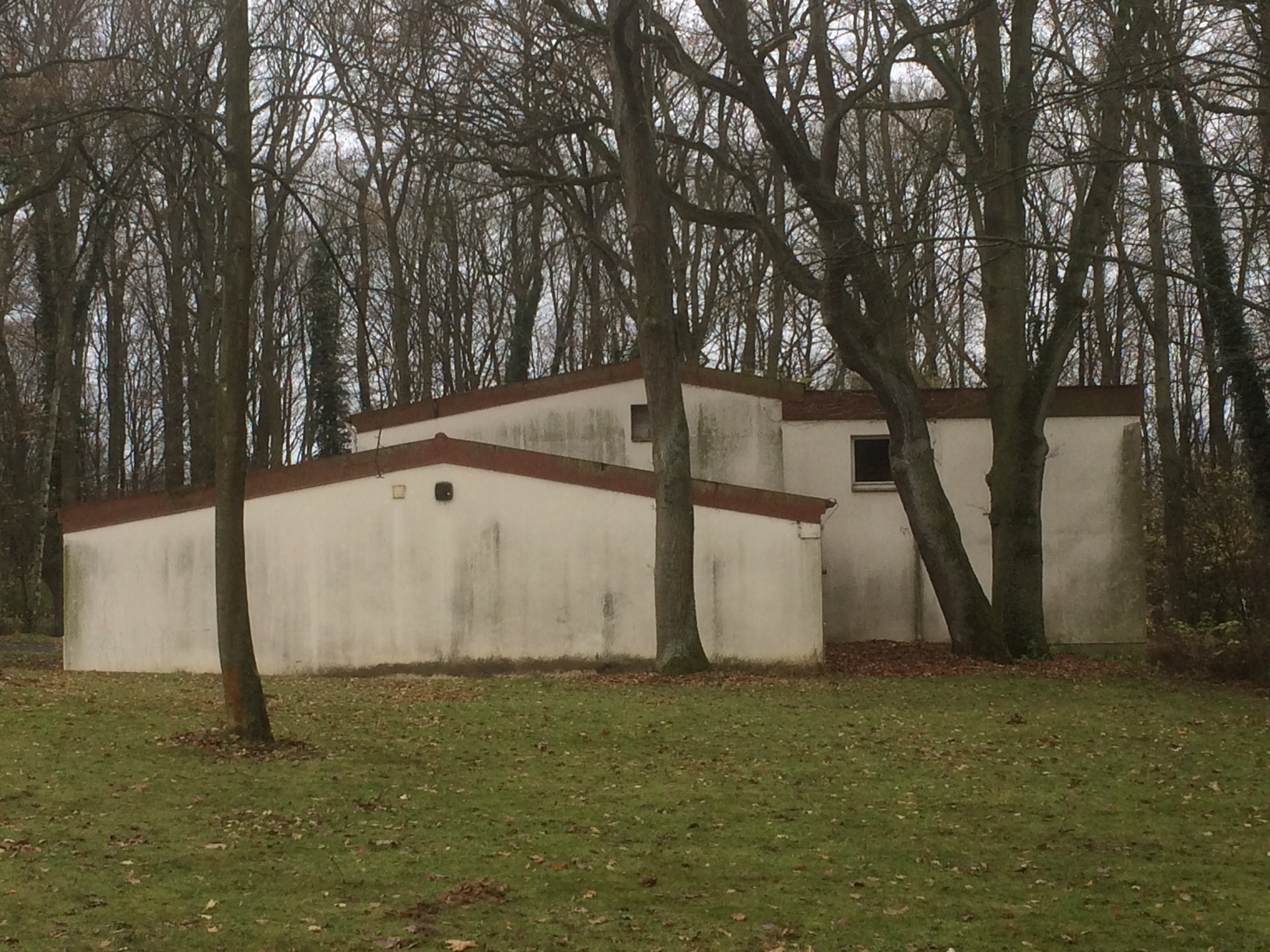 Bäume, Häuser (2015)